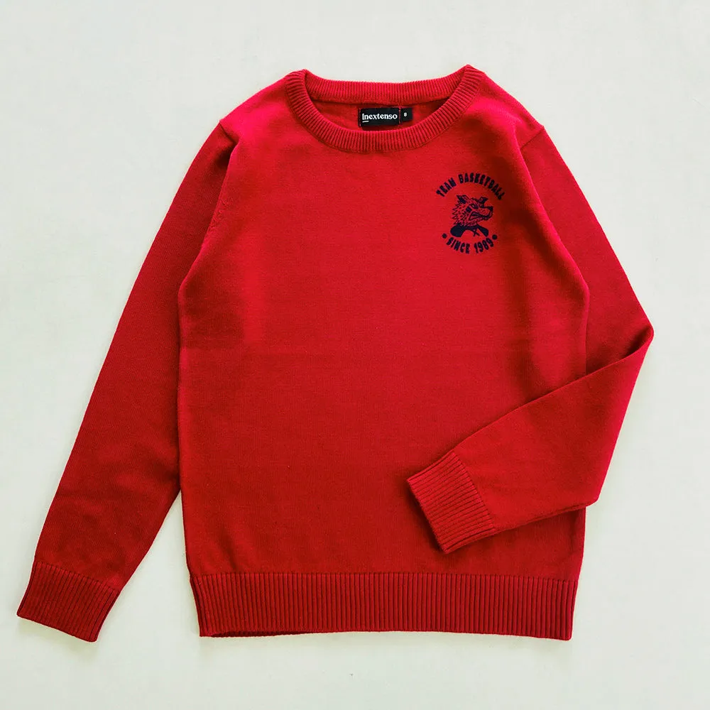 Boys Long Sleeve Solid Pullover Sweater