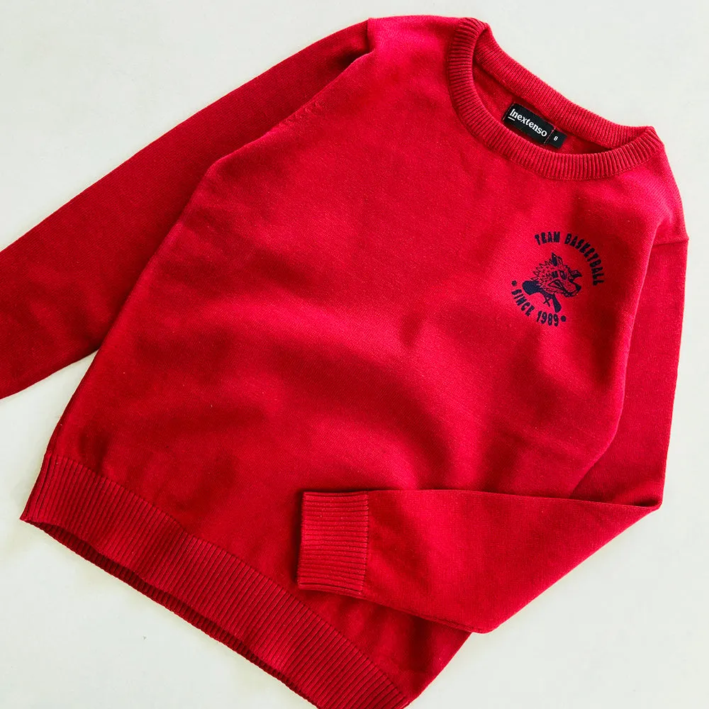 Boys Long Sleeve Solid Pullover Sweater