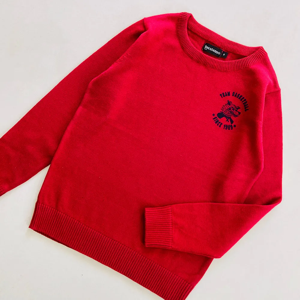 Boys Long Sleeve Solid Pullover Sweater